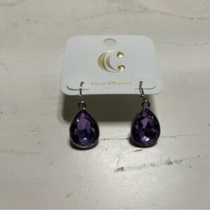 Brand New Purple Hanging Earrings